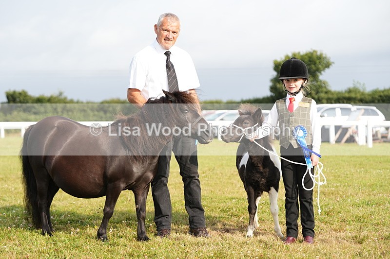 DSC04484 - Classes 44 & 45: NPS M&M Brood Mare and Foal