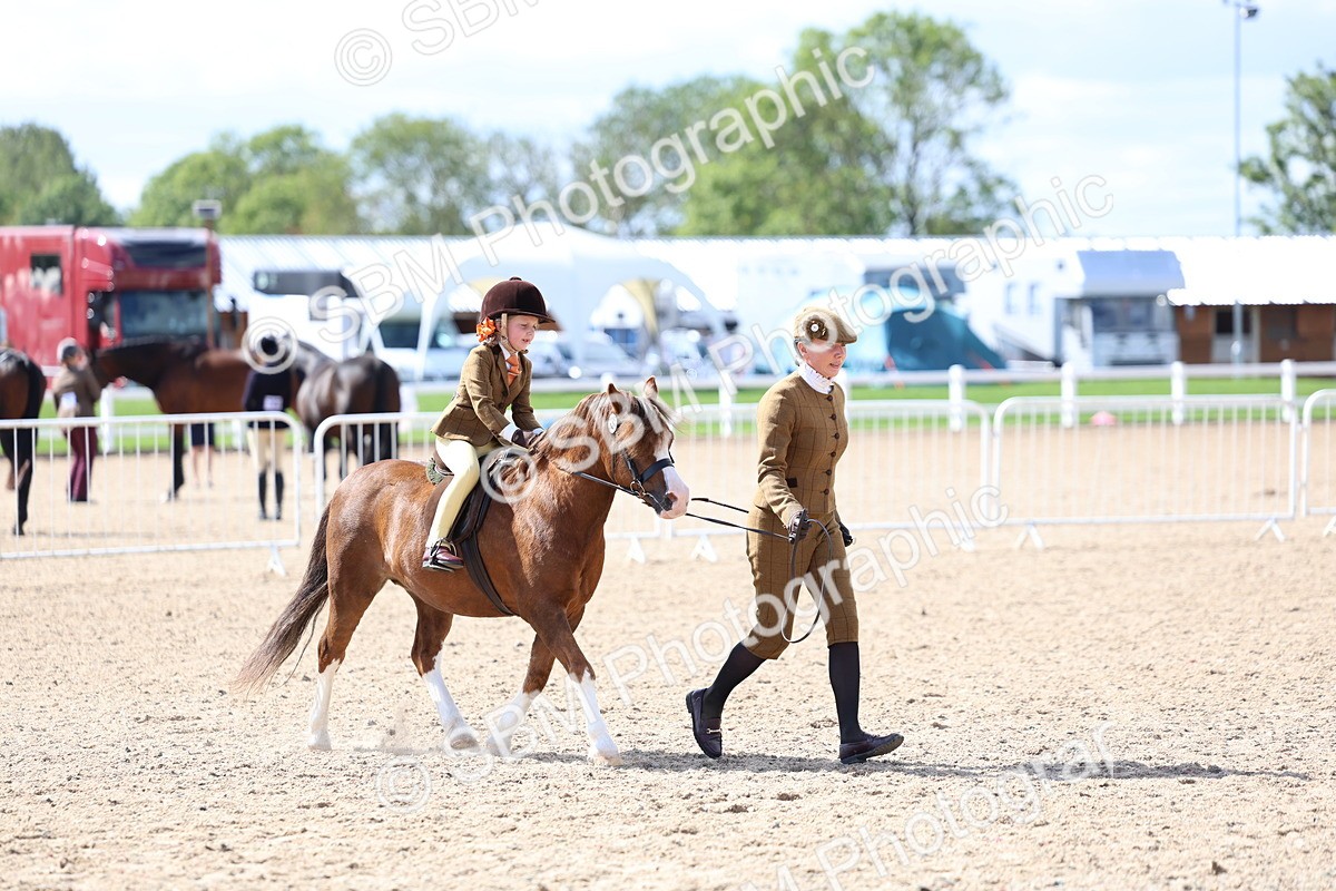 SBM_13070 - Class 309 - Lead Rein Pony