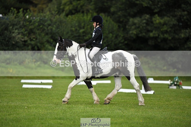 230826-112826-15877 - Sections C & D 10 to End