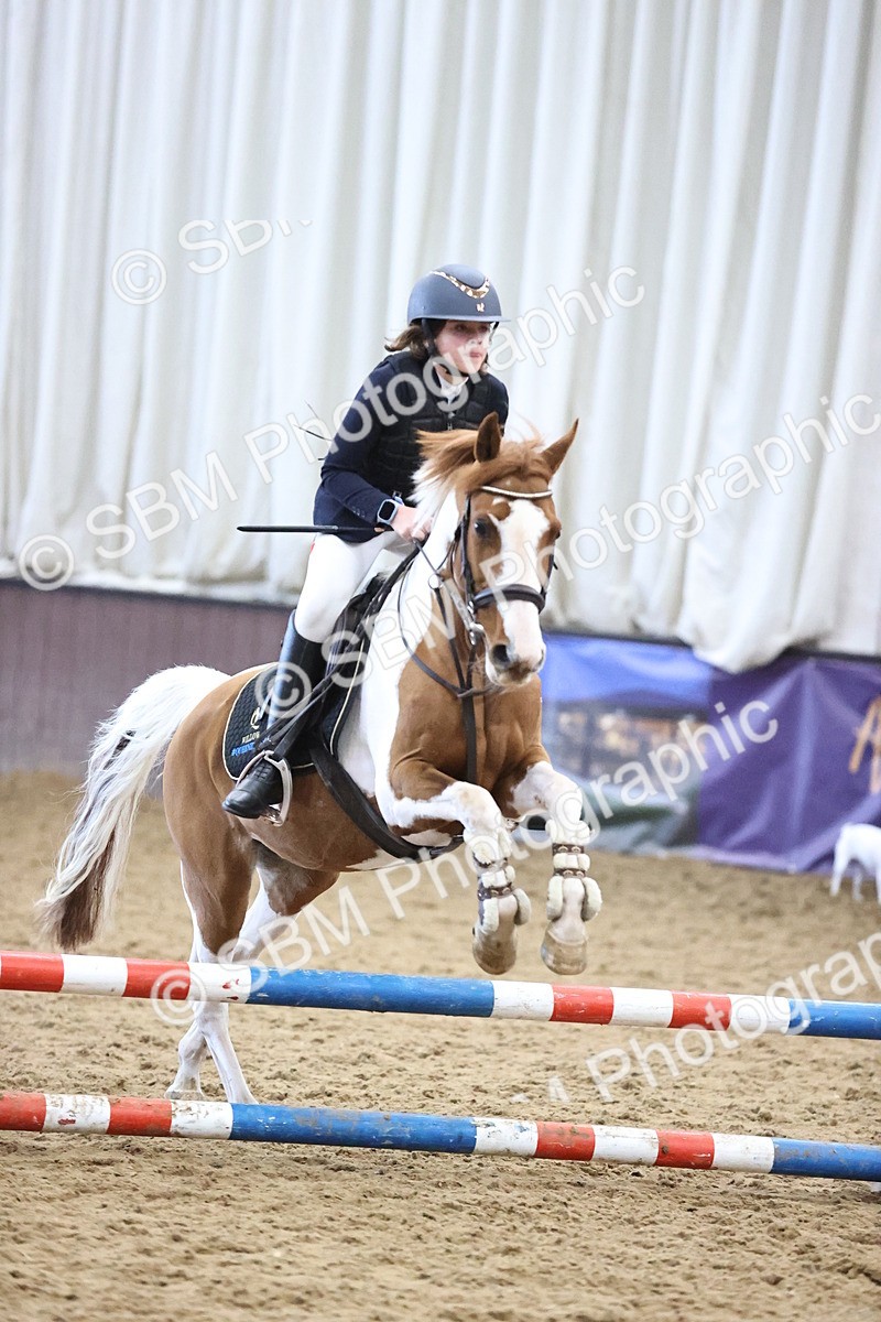 SBM_001562 - Class 3 - Horse & Hound 60cm