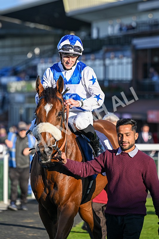 230925-Race 7-Hill O Rue-2530 - Race 7