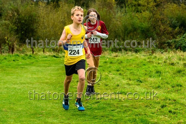 WestRLY25-911812 - Young Male Set One