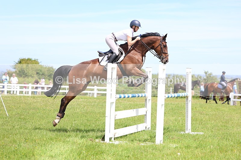 3E7A1343 - Class 12: Senior Foxhunter/1.20 open