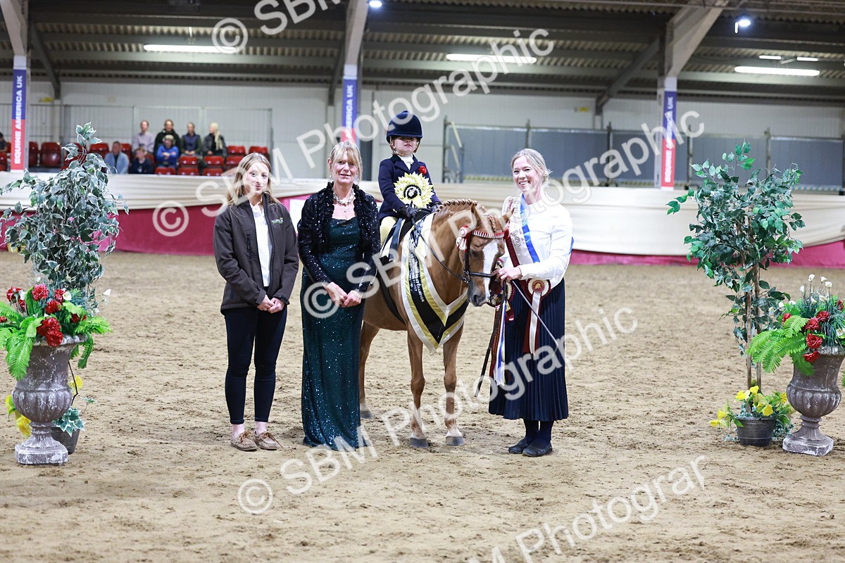 SBM_20583 - Class H - IH Competition - Riding Club champ