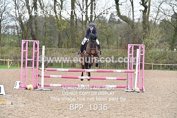 BPP_1036 - CLASS 2 Club/ Unaffiliated 80cms Open