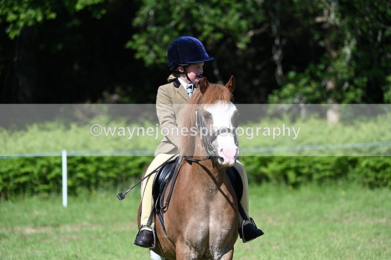 WJ7_0507 - Class 8 First Rally Pony