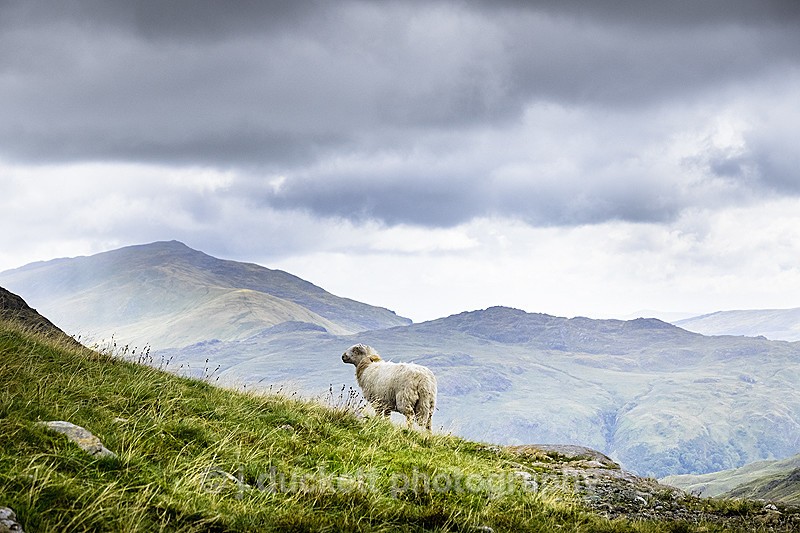 North Wales landscape photography from Snowdonia by John Duckett