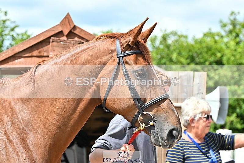 240718A-105241-01020 - Trot Up 11am to 12pm