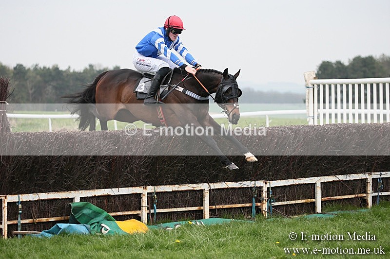 PtP 210418 74 - South & West Wilts Point-to-Point Larkhill 21/04/18