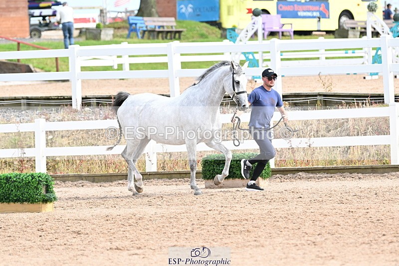 240717A-165742-03564 - Trot Up 4pm to 5pm