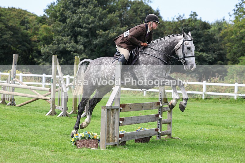 3E7A8867 - Class 6: Open Working Horse