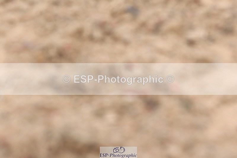 240622A-115551-09109 - Cls 30 BD Elementary 53