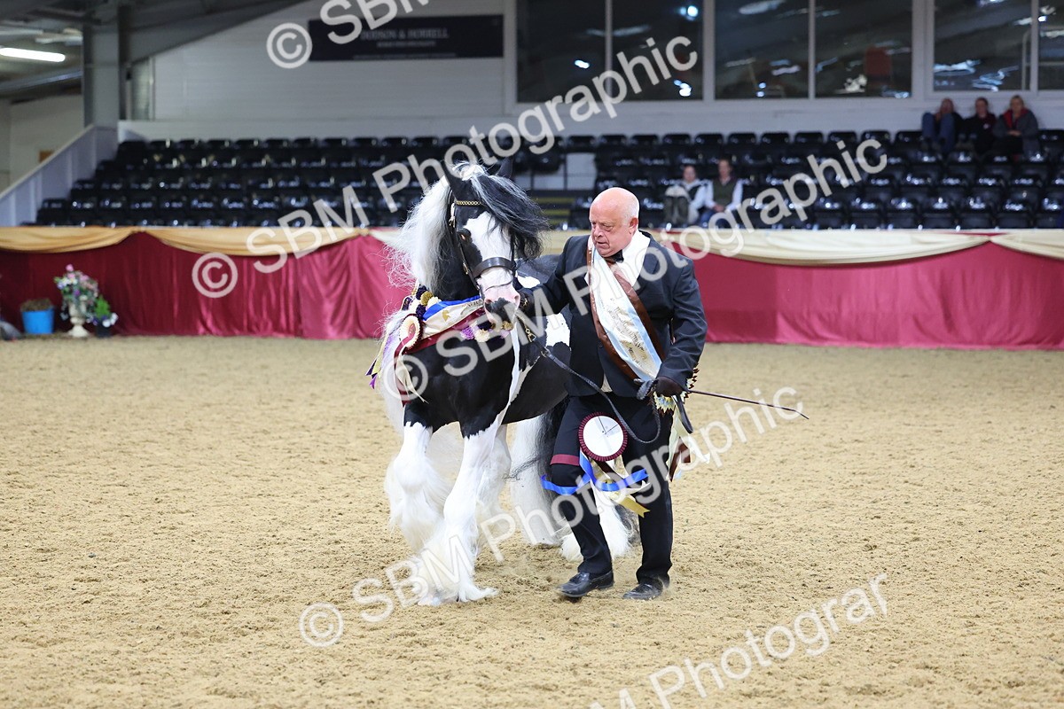 SBM_18666 - Class C Best Turned Out Champ