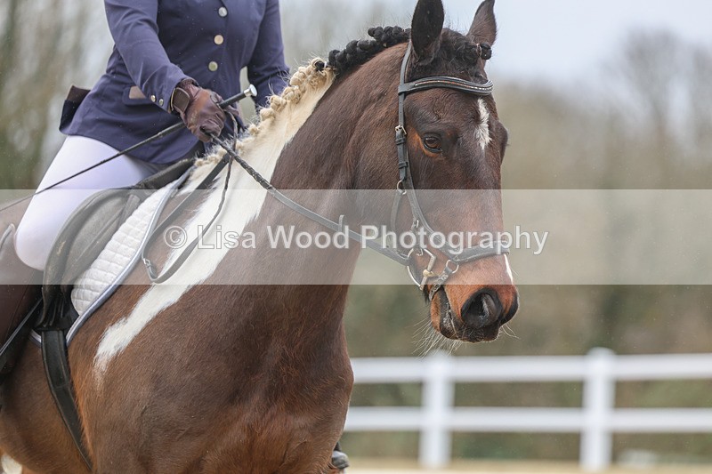 3E7A0810 - Class 4: Prelim 1 2024 Section B