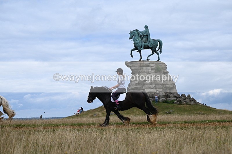 DSC_6680 - Time at Statue 12:45 to 13:15