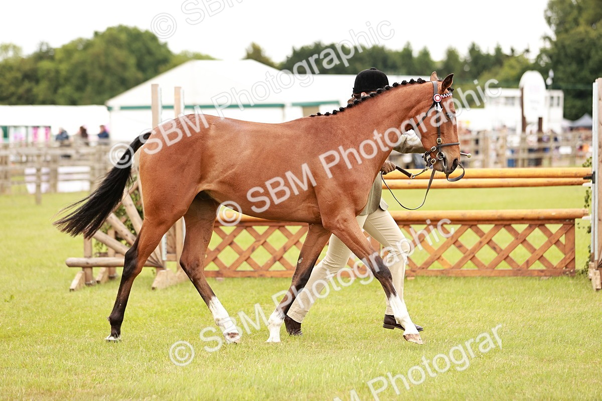 SBM_04766 - Class 35-38 Riding Horse Breeding
