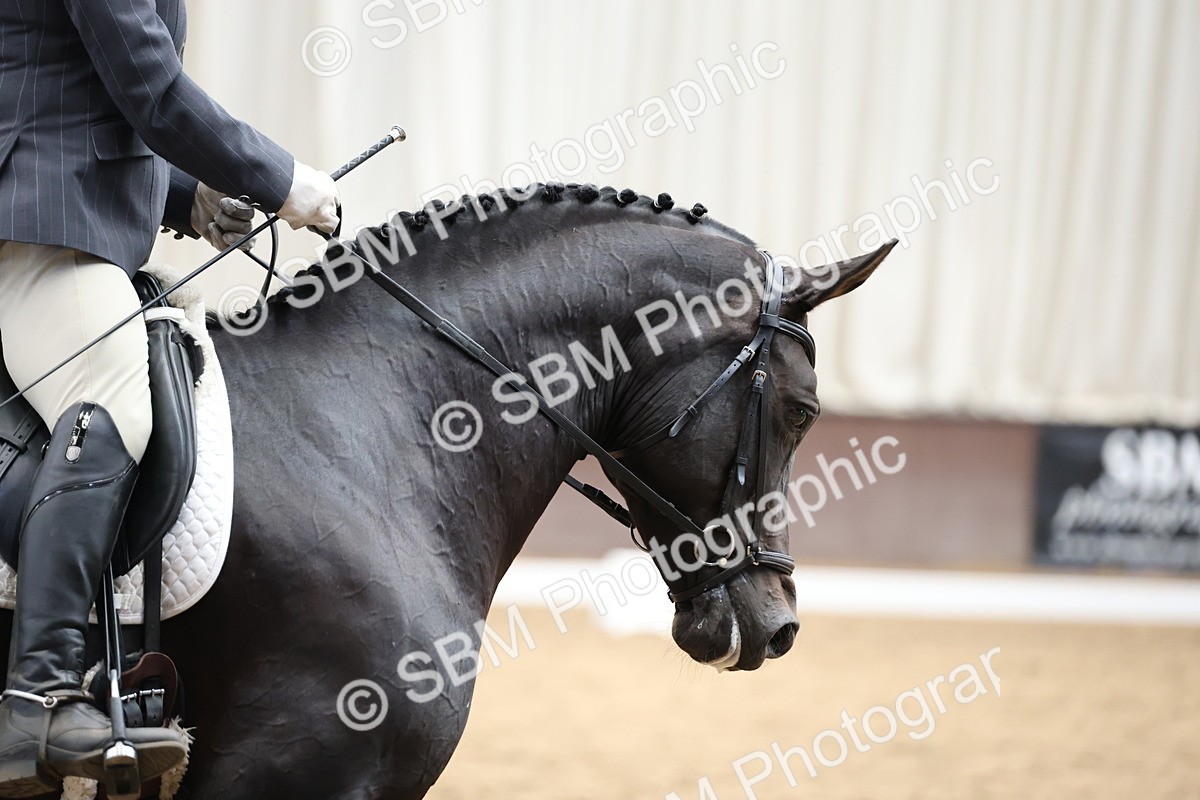 5K7A0217 - Novice 2
