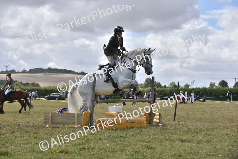 20250831-4129 - Class 13 - Working Hunter Horse or Pony