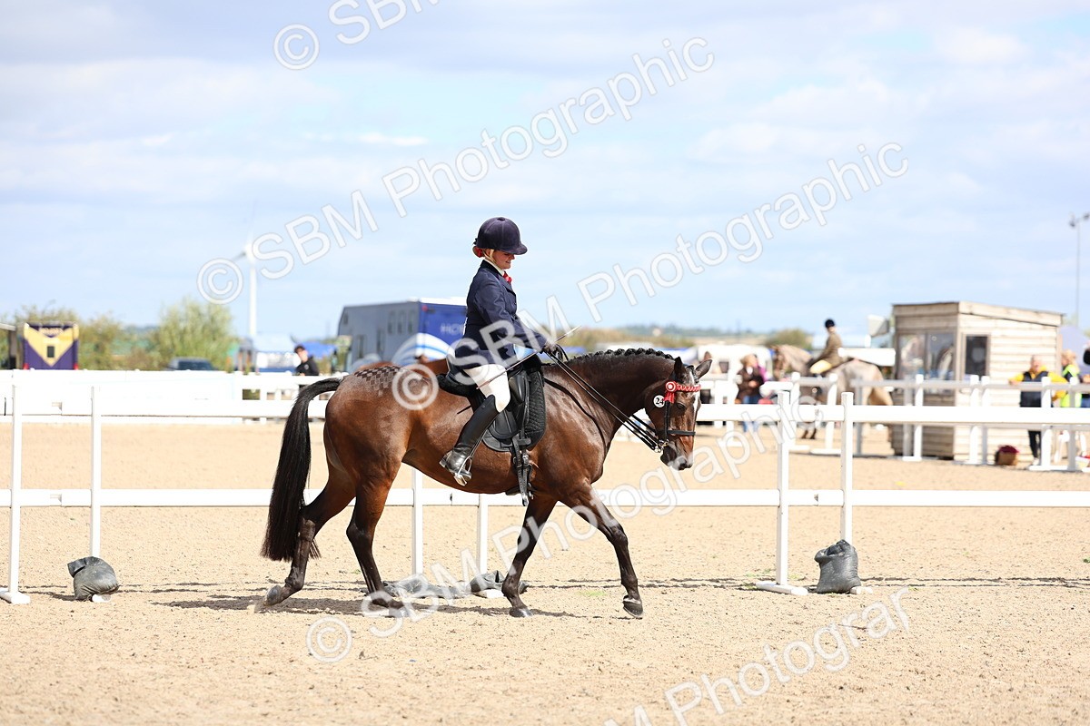SBM_13251 - Class 311 - Ridden Show Pony Show Hunter Pony