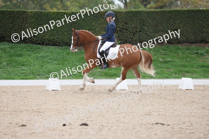 20251011-0356 - Class 3 - Prelim 2