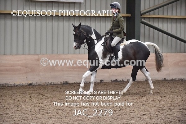 JAC_2279 - CLASS 2 Novice Working Hunter