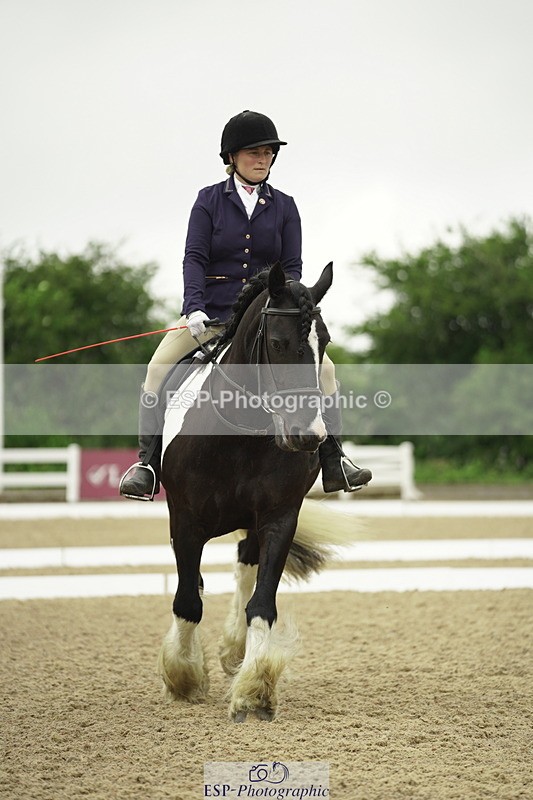 230708A-100306-00287 - Intro C