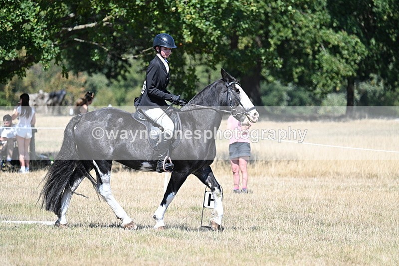 WJ7_0896 - Time 12:34 to 12:47