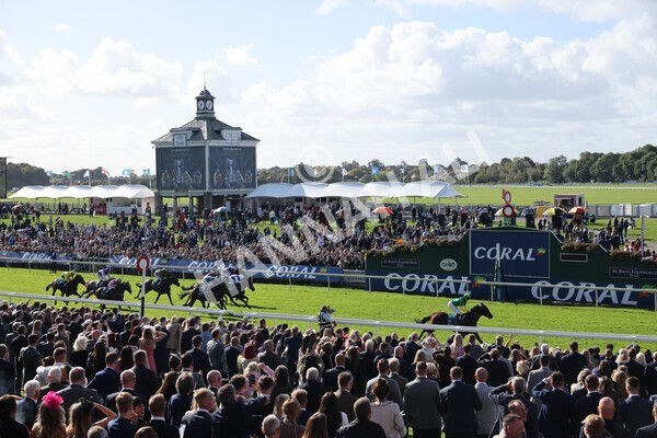 yr08102022r1-33 - Race 1 1.30pm The Coral Play 'Racing-Super-Series' for Free Nursery Handicap