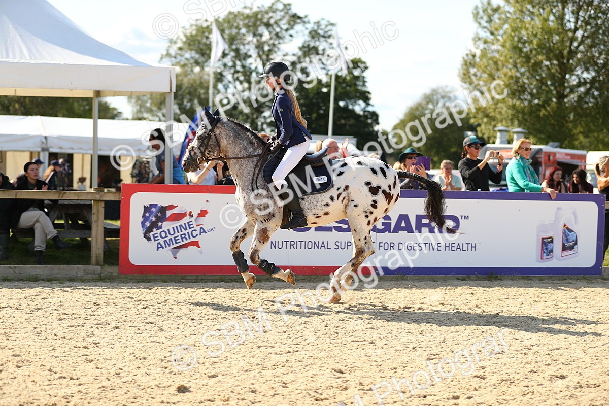 SBM_24405 - J45 - Accumulator 70 80cm