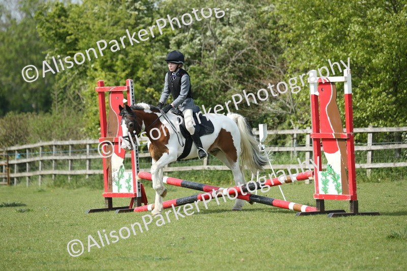 20260426-1549 - Class 14 - Novice 60cm
