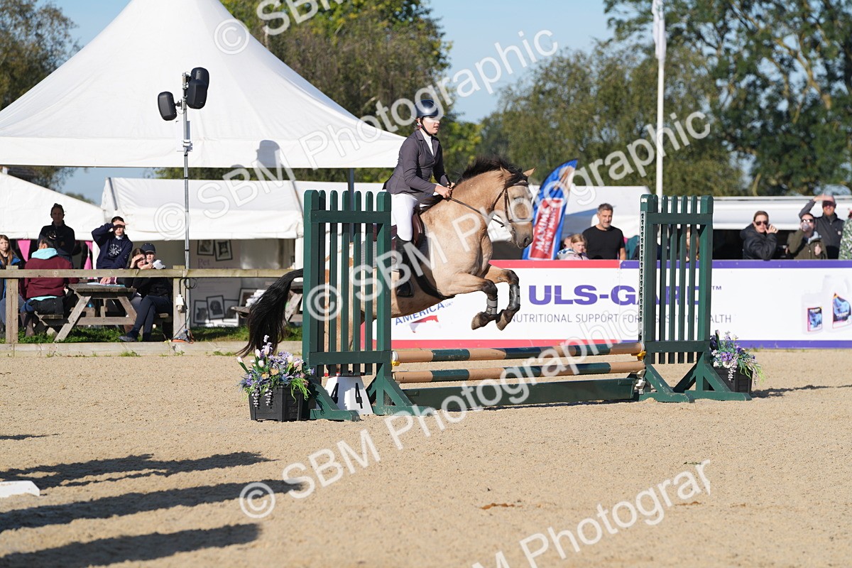 SBM_34464 - J62 - Clear Round 50cm