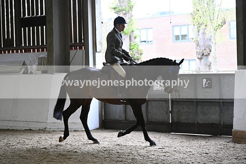 WJ7_3789 - Class 17 Ridden Cob