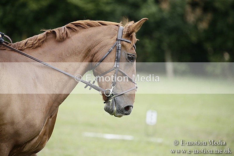 BVR090918 302 - BVRC Dressage and Show Jumping 09/09/18