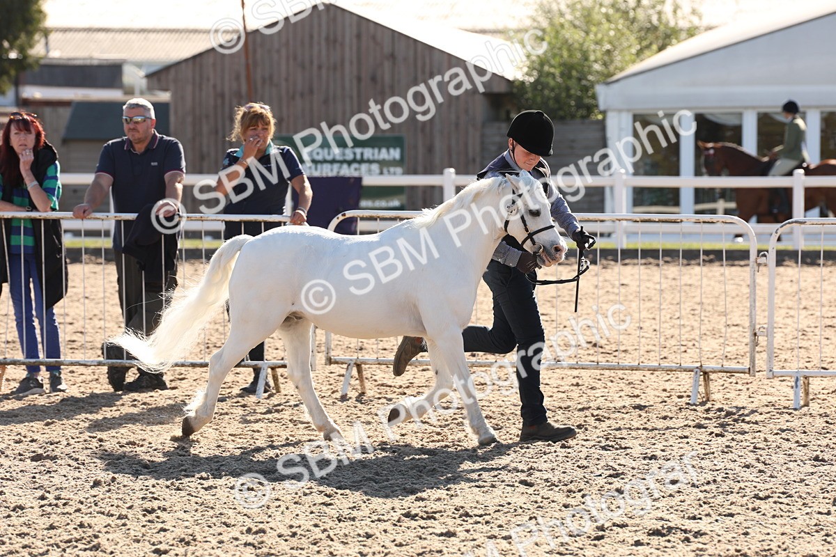 SBM_11726 - Class 204 - Young Handler 11 to 16 years