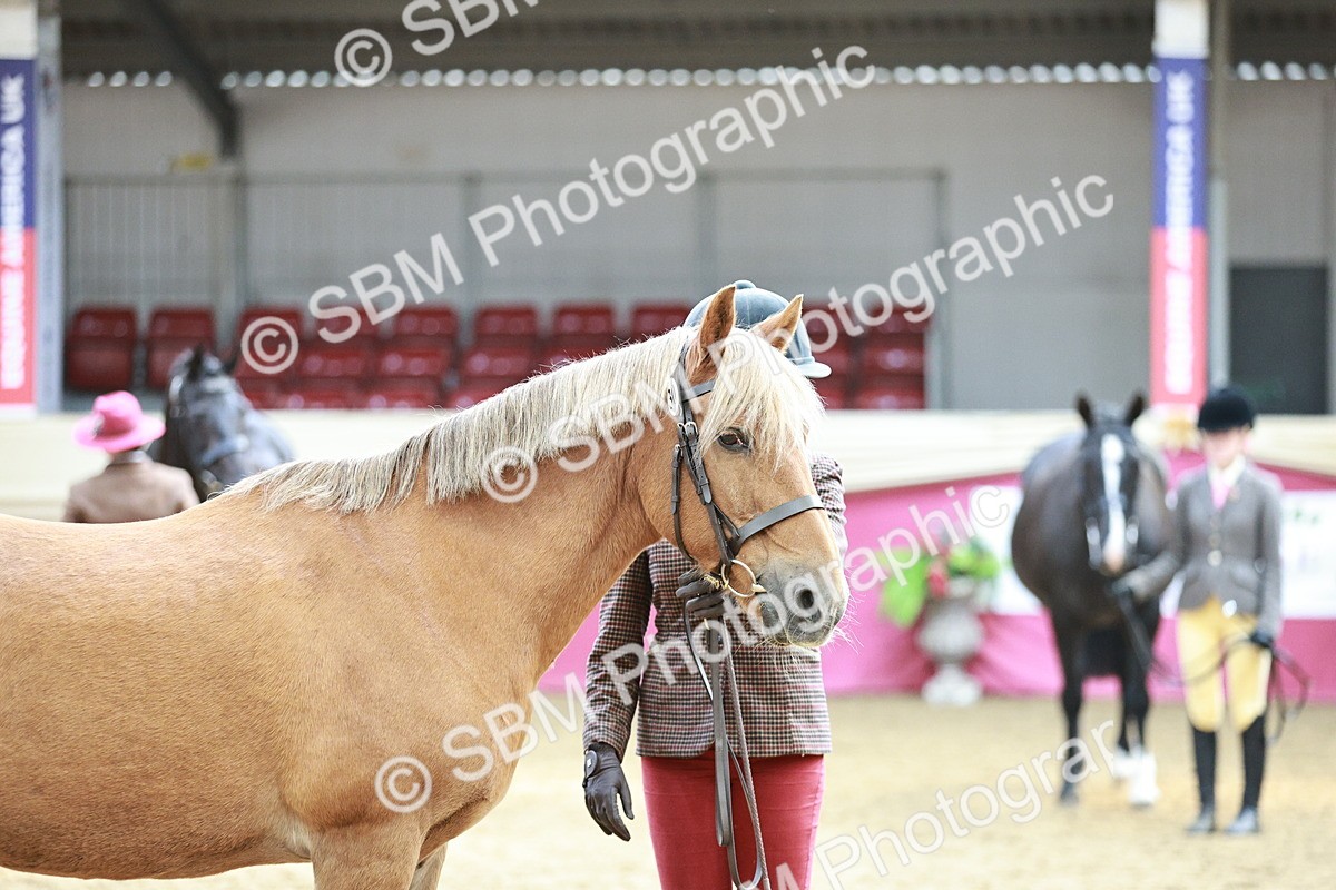 SBM_04772 - Class 7R - Regional IH Diamond