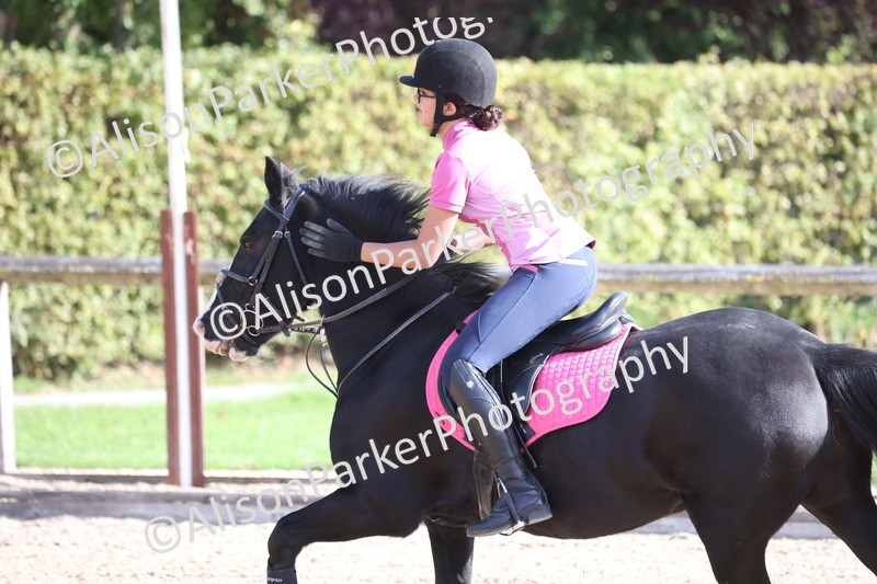 20251005-0317 - Class 3 - 60cm