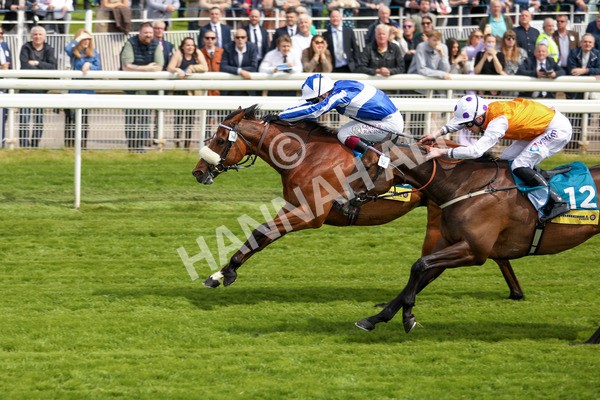 170523-Race 2-Bielsa-6862 - Race 2 2.25pm Churchill Tyres Handicap
