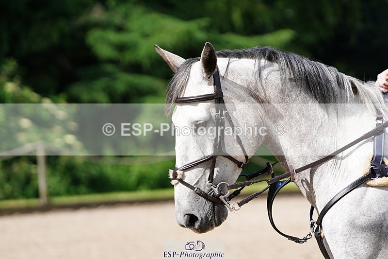 250615A-091336-09786 - Class 43 British Novice 90cm Open