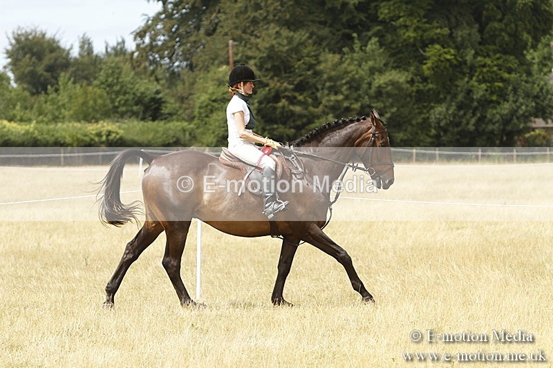 _BS_1001 - Working Hunter Championship BVRC Show 2018