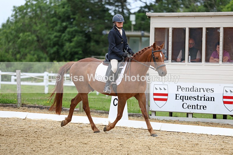 3E7A9391 - Class 2: Intro 1 2024 Section B