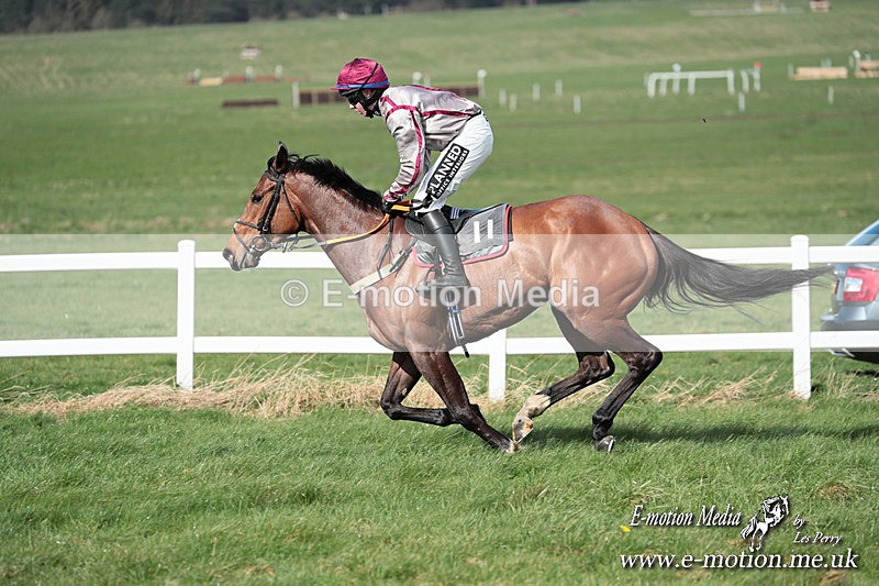 PtP 230324 537 - Tedworth Hunt PtP Larkhill Raccourse 23rd March 2024