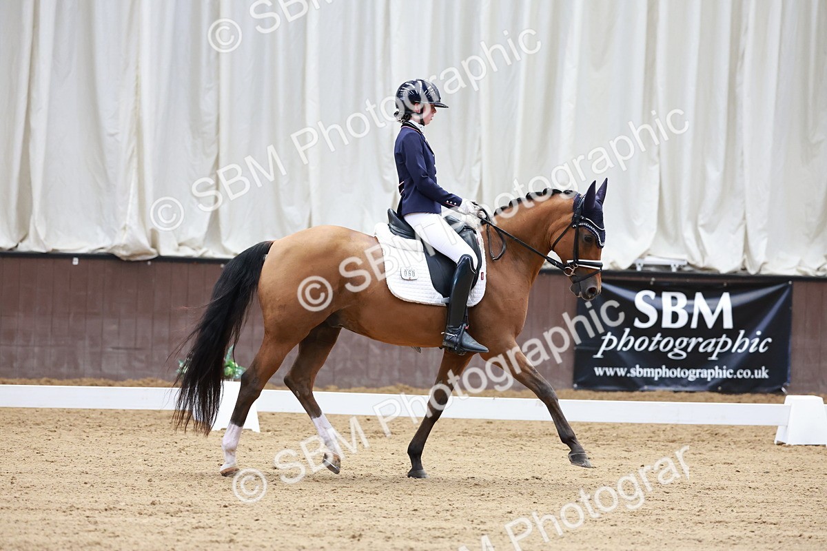 SBM_017262 - Class15 - FEI Pony
