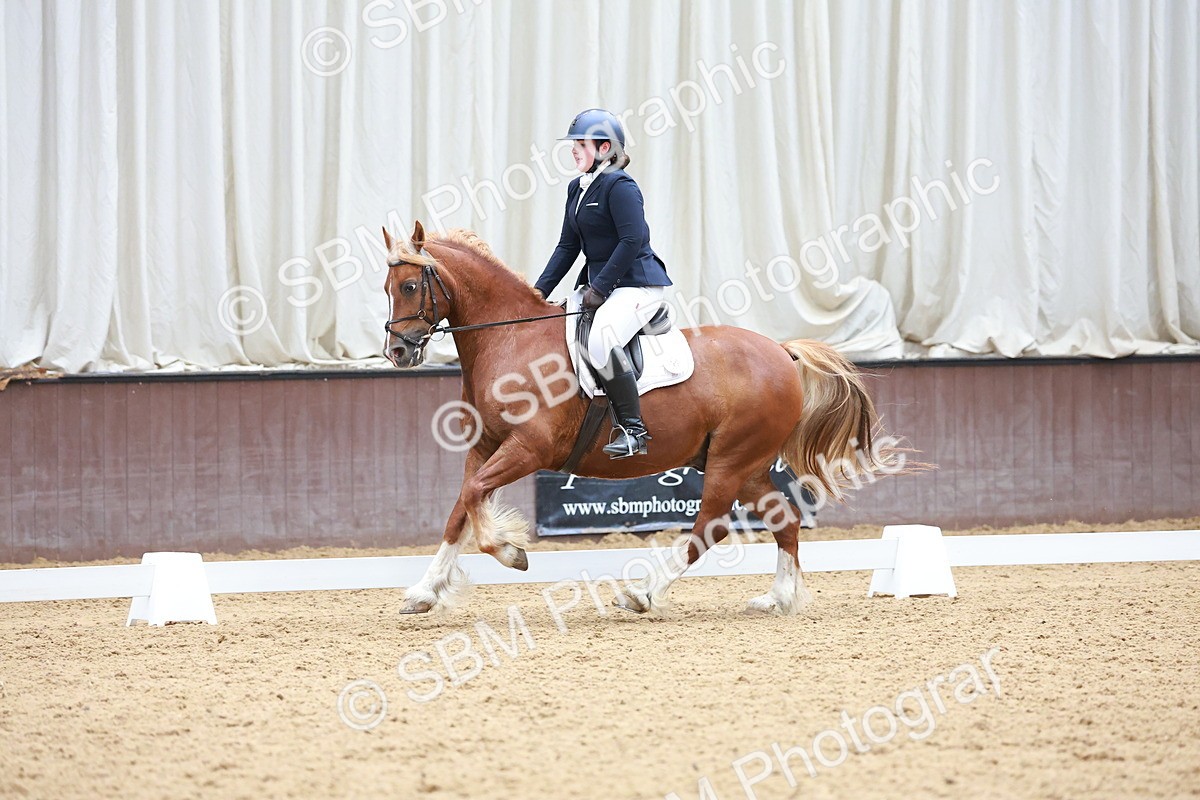 SBM_011544 - Prelim 5 - 13.05-14.01