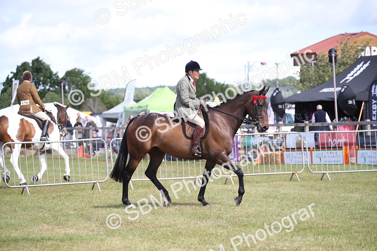SBM_13308 - Class 95-96 - LIHS BSHA Rising Star Hack Riding Horse