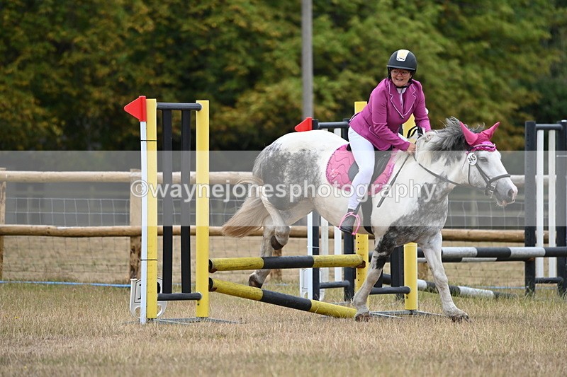 WJ6_0108 - Class 13 Novice Jumping 60cm