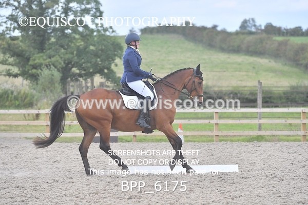 BPP_6175 - MEDIUM TEST 4 LONG ARENA