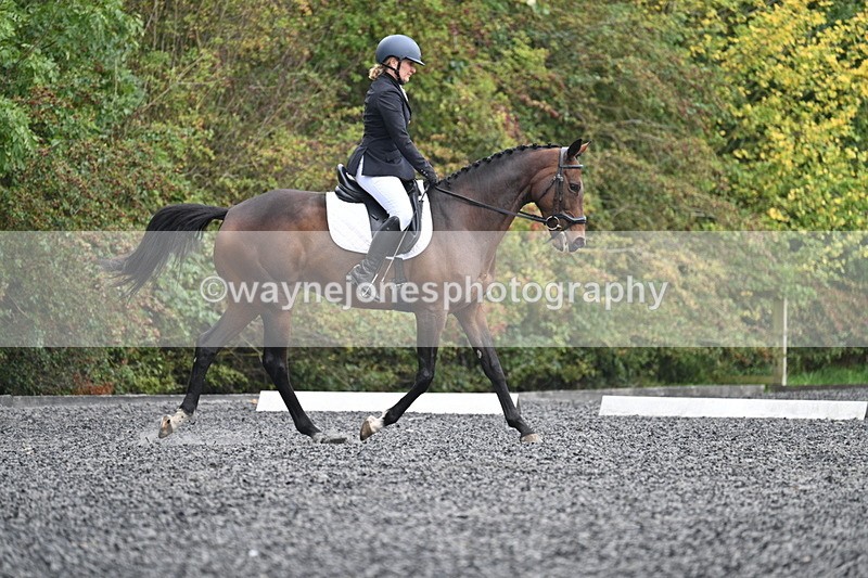 WJ7_3806 - Time 11:04 to 11:38