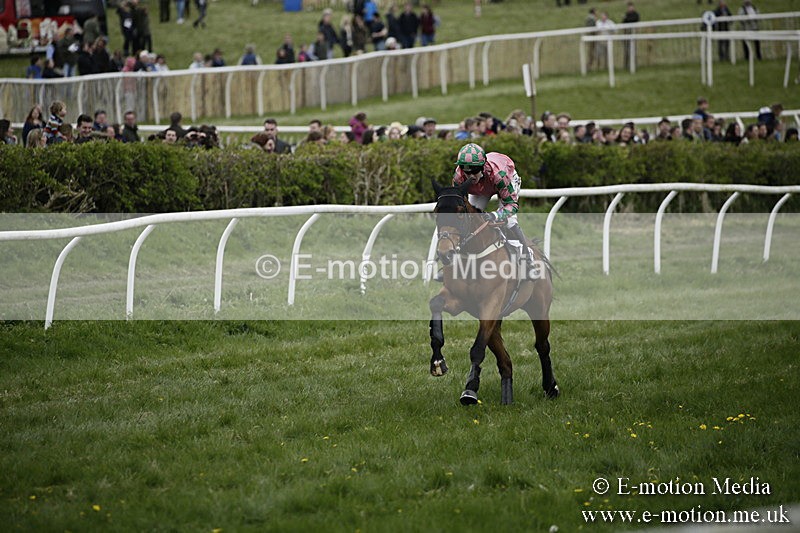 PtP 170417 551 - Old Berks Point-to-Point Lockinge 17/04/17