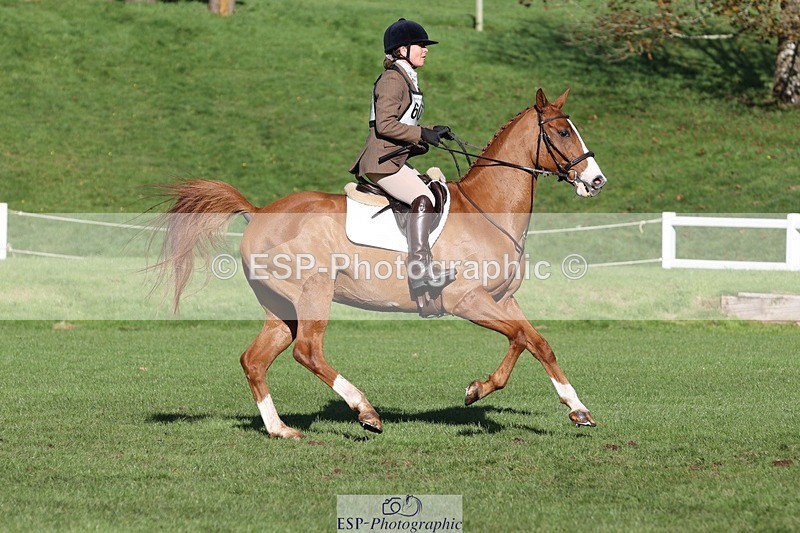 231022-111619-25069 - 607-RICO.III-Alison.Stewart-TrotUp+SJ