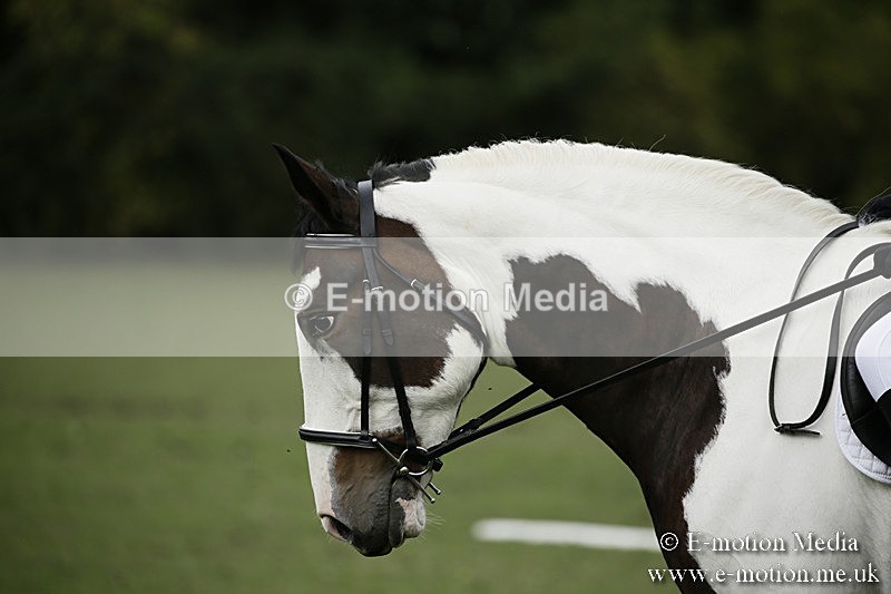 BVR080918 30 - BVRC Novice Dressage & CR 08/09/18